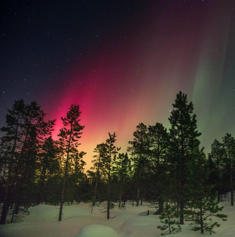 Photo by Vincent Guth on Unsplash- NORTHERN LIGHTS,