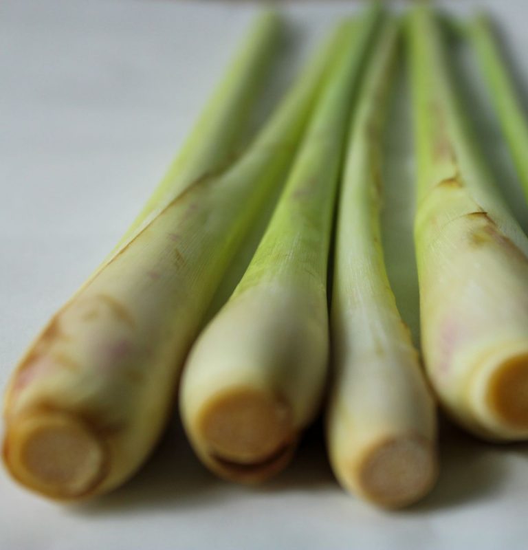 Lemongrass