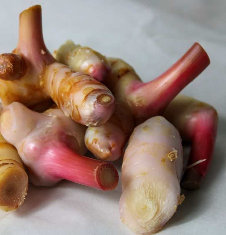 Galangal